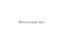 Амортизатор задній (газ-масло) (Poland)Chery QQ (Чері КуКу), Амортизатор задний (газ-масло) (Meyle), амортизатор задний газ масло poland, s11 2915010, амортизатор задній газ масло poland, s11 2915010, Chery, QQ, S11-2915010